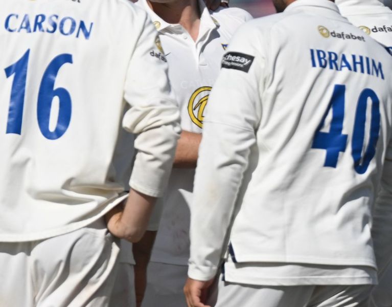 Sussex Men celebrate a wicket.