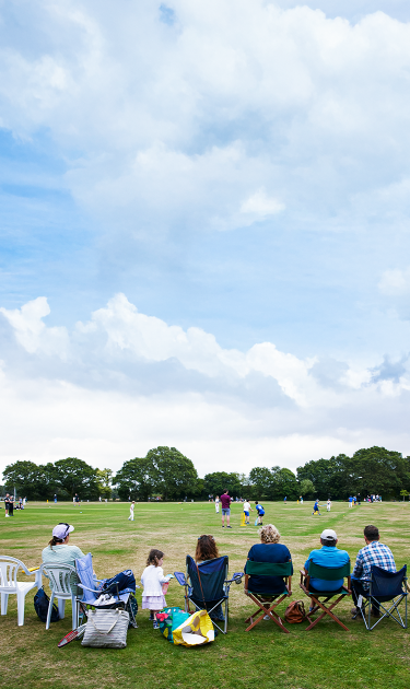 The Cricket Collective