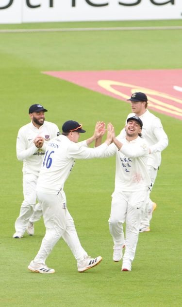 Sussex players celebrate a wicket