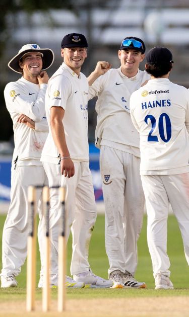 Sussex players celebrate a wicket