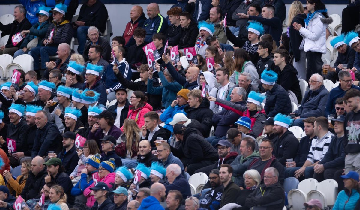 Sharks fans