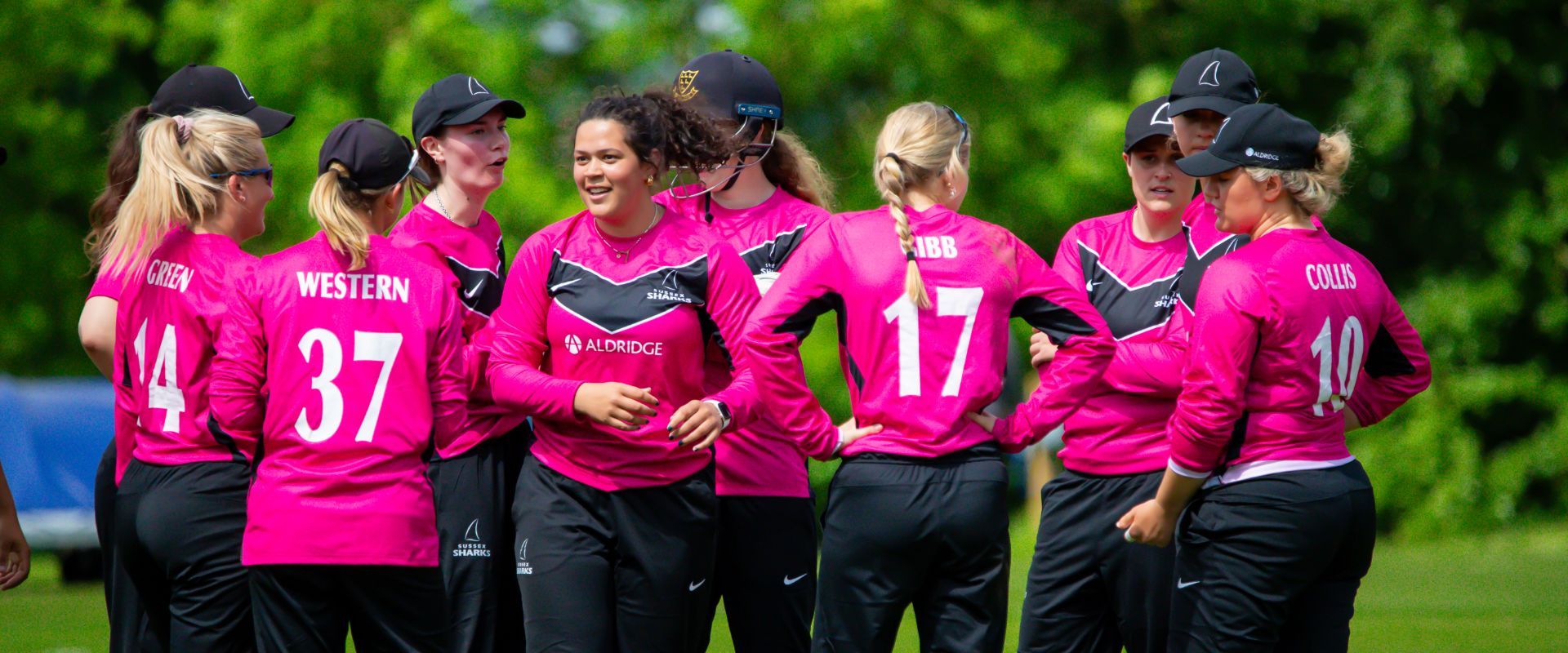 Sussex Women celebrate a wicket