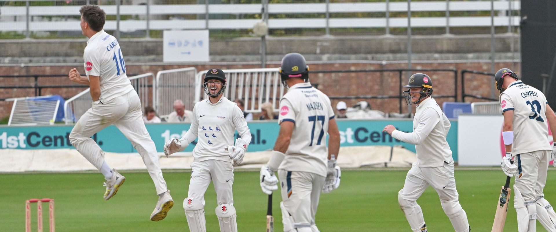 Sussex players celebrate a wicket