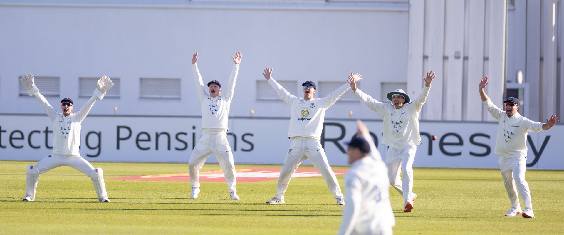 Sussex's slip cordon