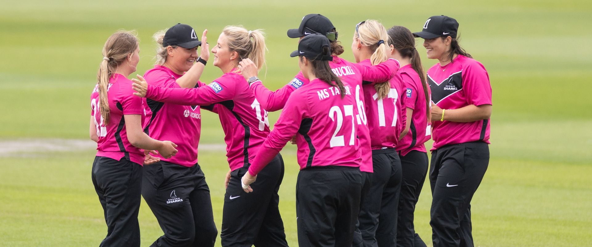 Sussex Sharks celebrate after taking a wicket