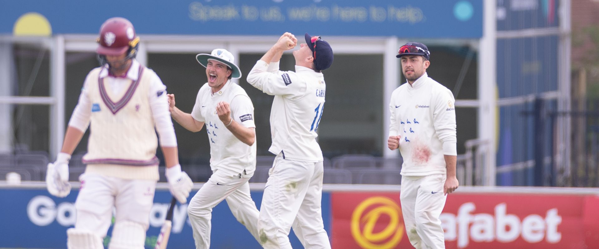 Sussex players celebrate after taking a wicket against Somerset