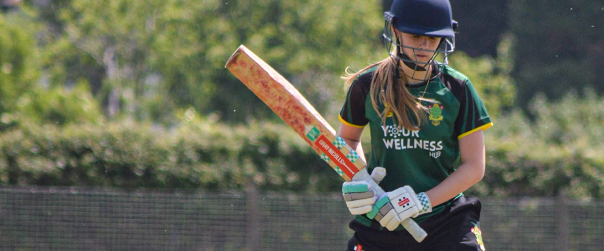 Sussex Women' Cricket League