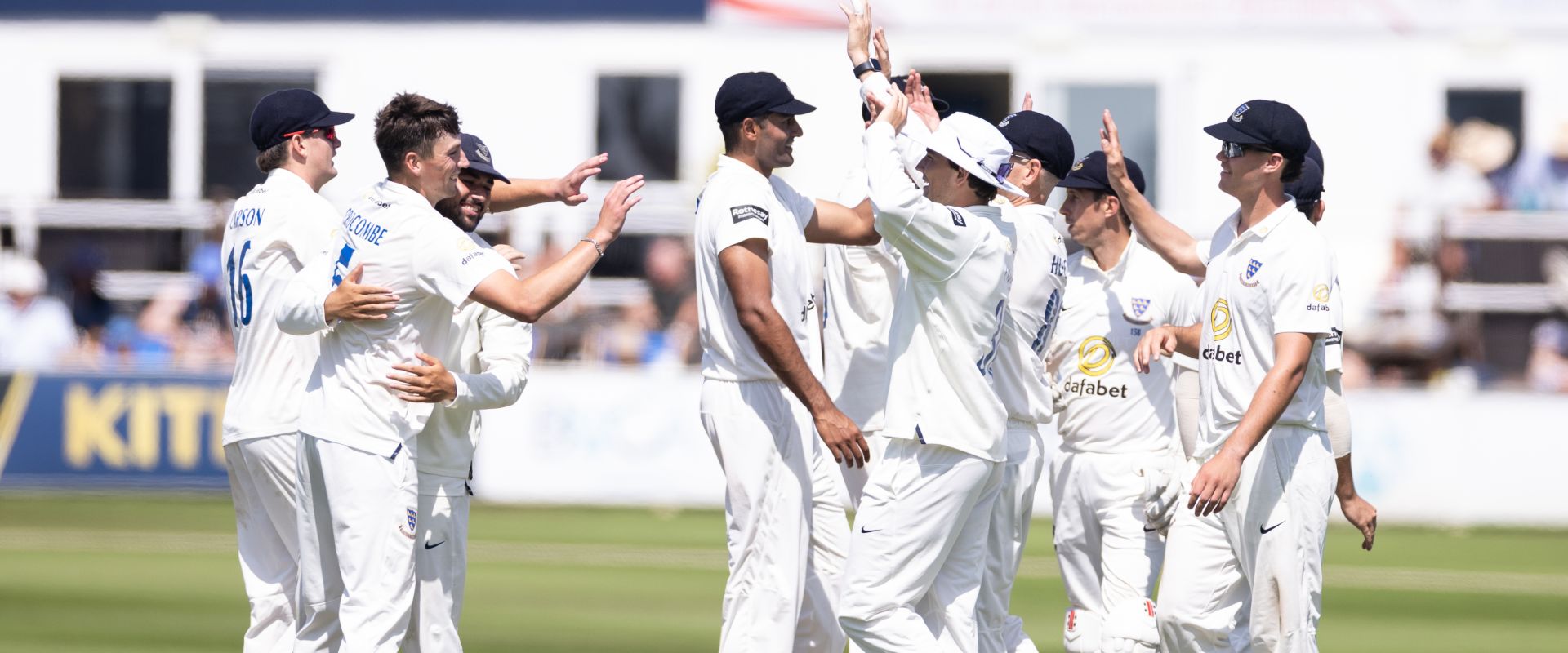 Sussex players celebrate after taking a wicket against Warwickshire at Hove