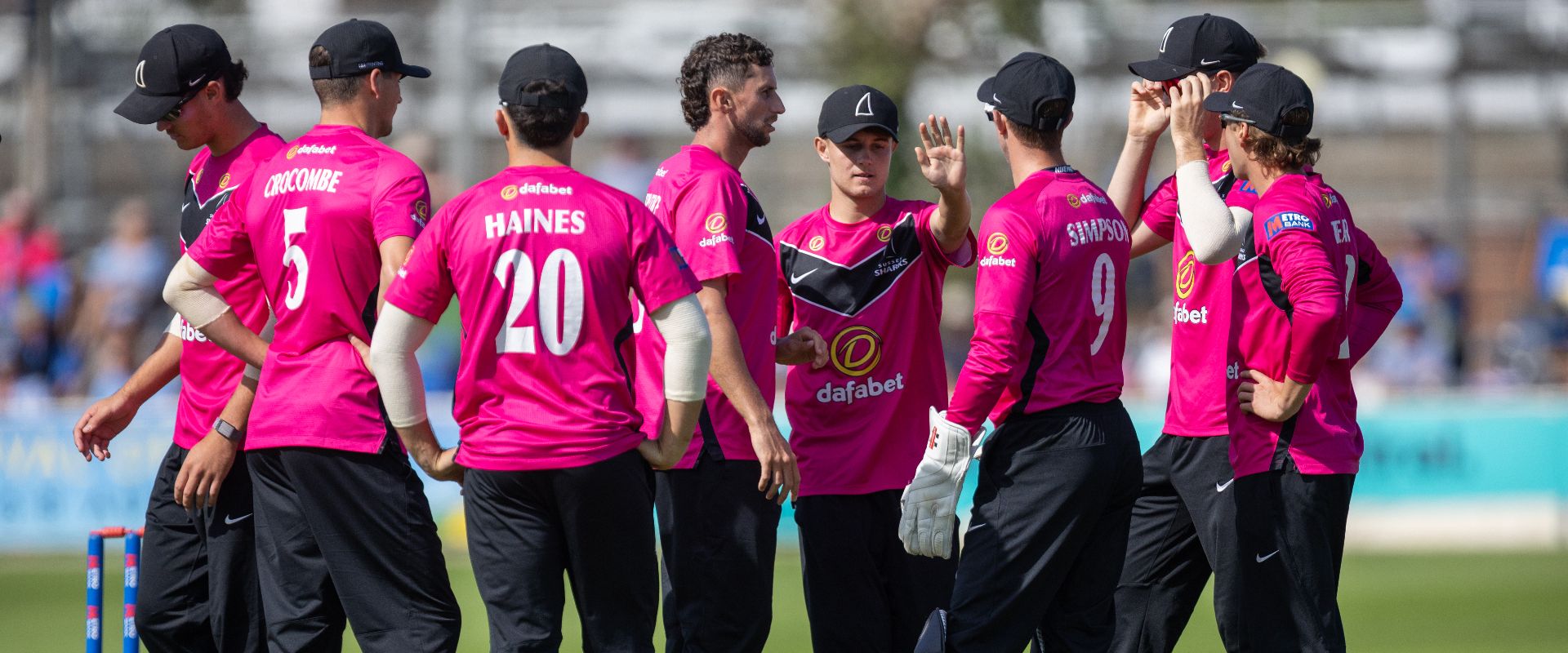 Sussex players celebrate taking a wicket against Yorkshire