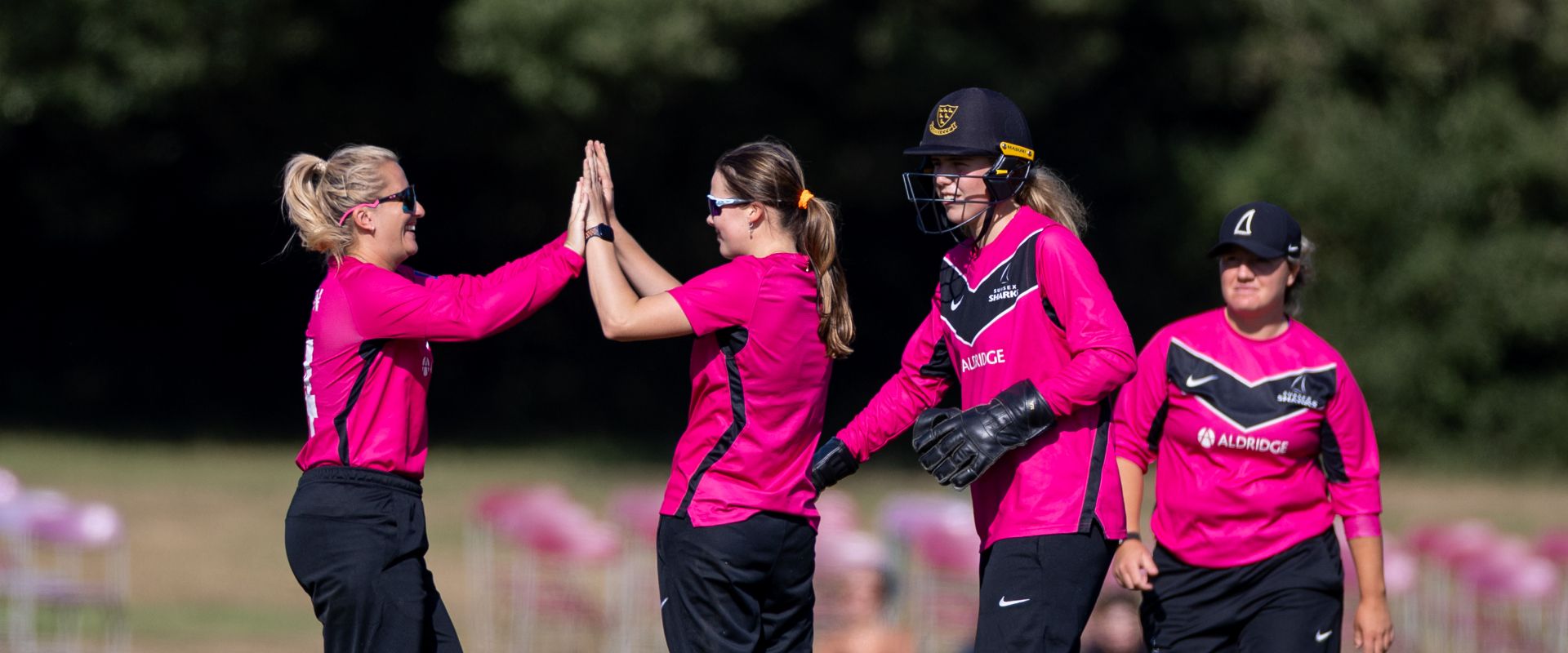 Sussex Sharks players celebrate after taking a wicket at Arundel