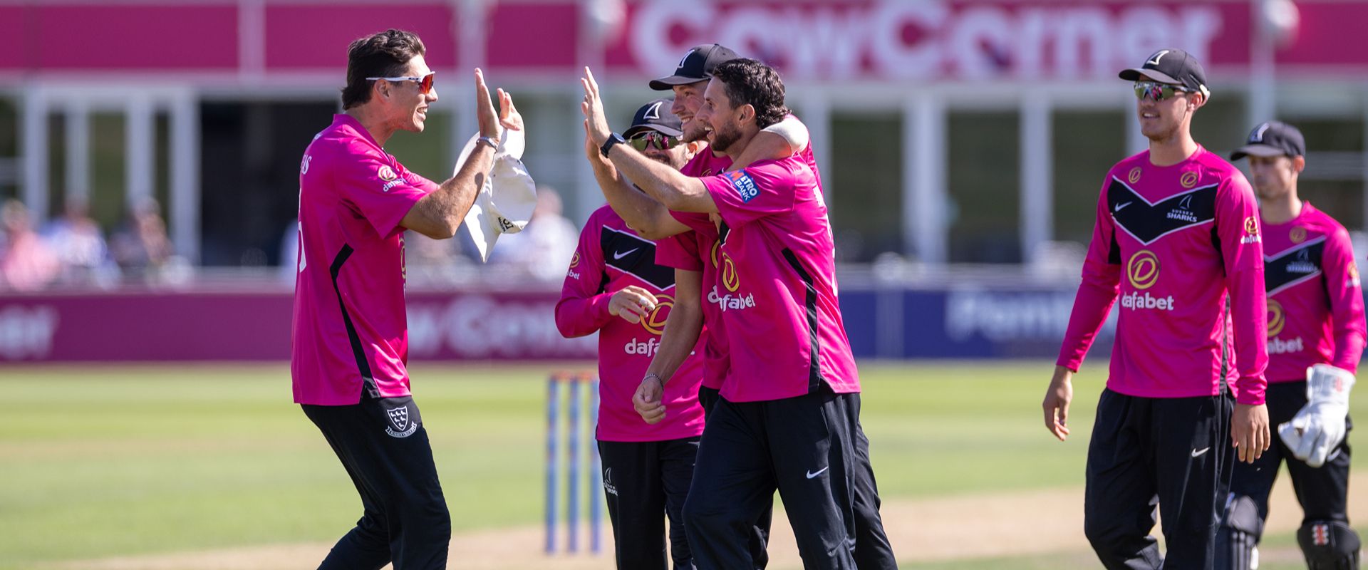 Sussex players celebrate after taking a wicket in last year's One Day Cup 