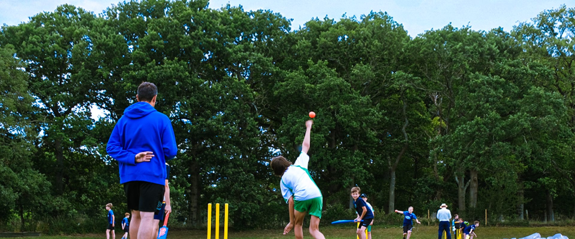 The Big Primary School Survey