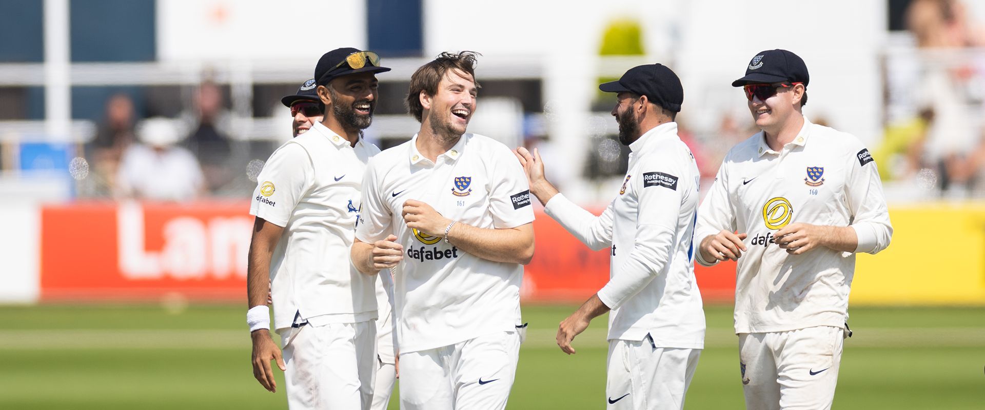 Sussex players celebrate a wicket
