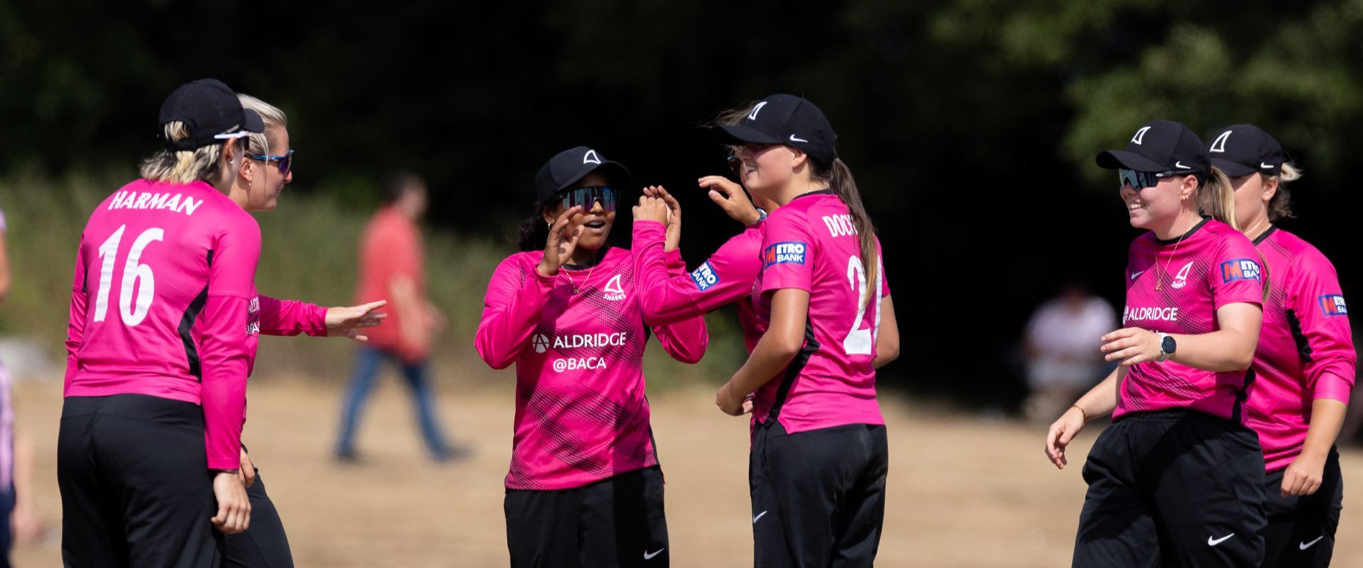 Sussex Sharks celebrate