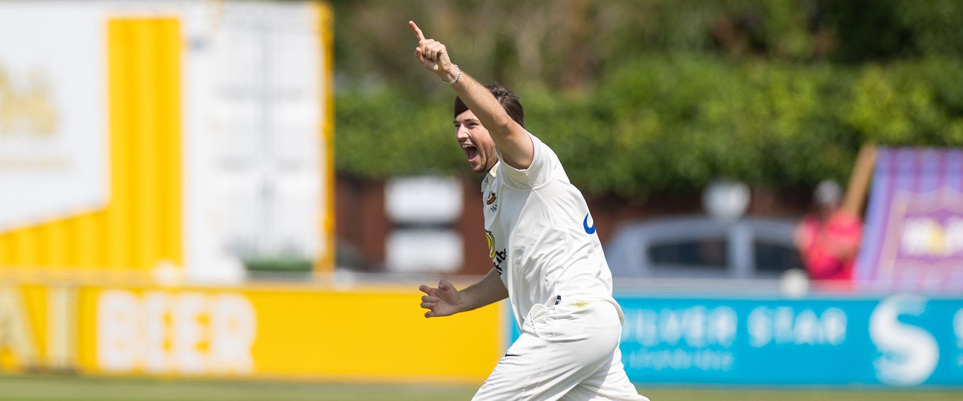 James Coles celebrates a wicket