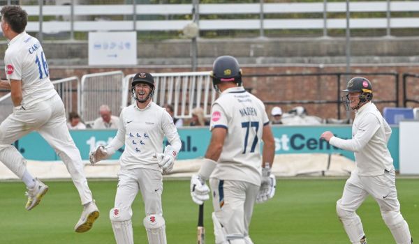 Sussex players celebrate a wicket