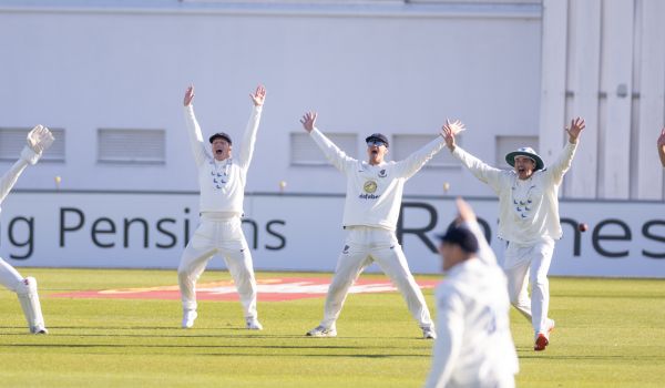 Sussex's slip cordon