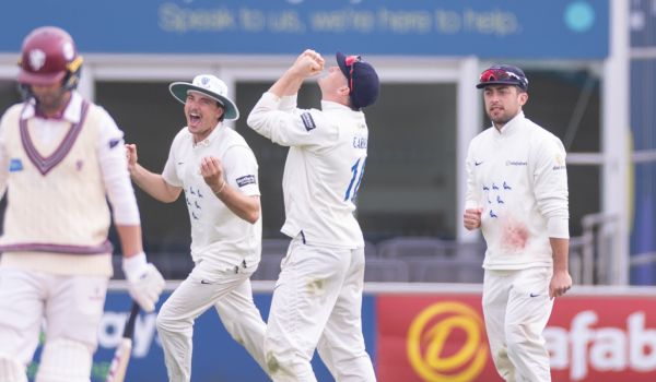 Sussex players celebrate after taking a wicket against Somerset