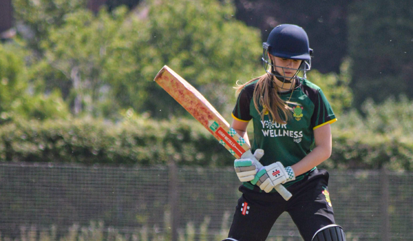 Sussex Women' Cricket League