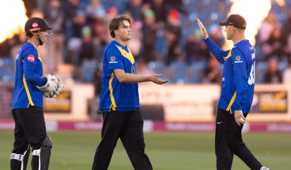 Sussex players celebrate after taking a wicket against Hampshire