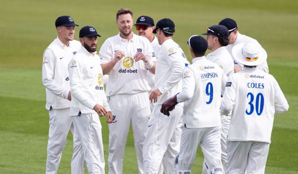 Sussex players celebrate after a wicket