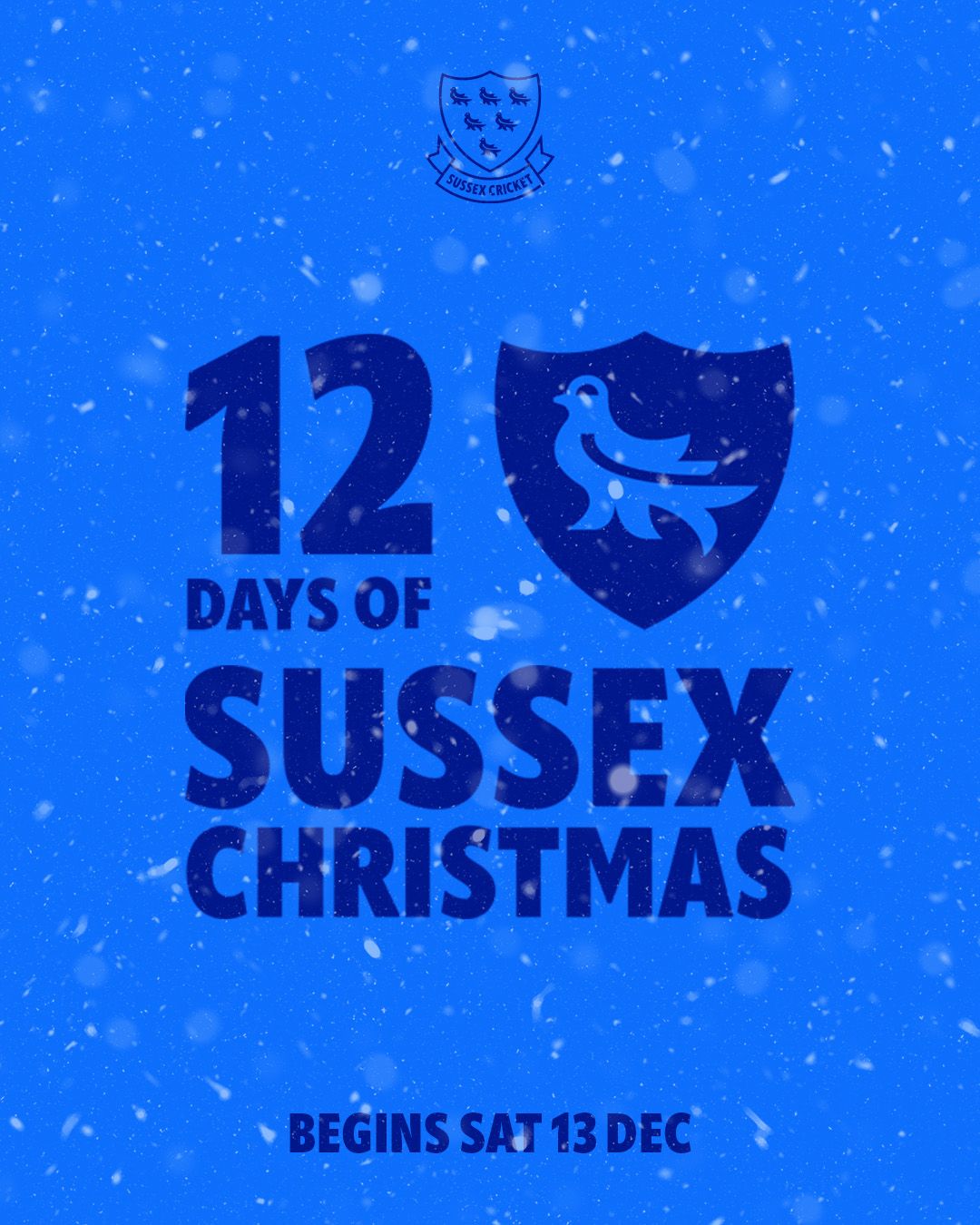 12 Days of Sussex Christmas